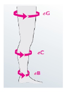  Collant de Compressão CCL 2 - Duomed