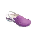 Soca C/ Elásticos C/ Furos C/ Presilha